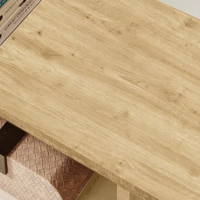 Biblioteca TAYLOR ARTISAN 6 rafturi, 70x190 cm