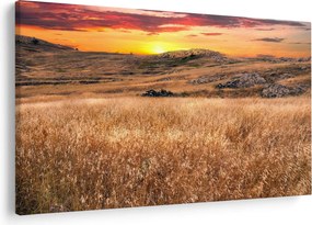 Tablou cu câmp (90x60 cm)