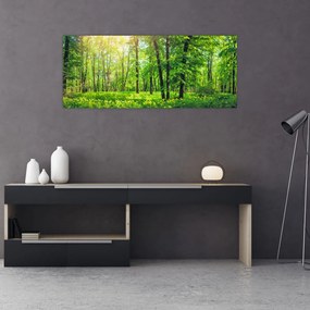 Tablou - Pădurea cu frunze de primăvară (120x50 cm)
