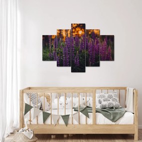 Tablou - Flori de lupin (150x105 cm)
