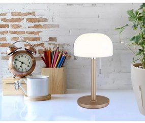 Lampă LED de masă Globo 21016CH NORMAN LED/1,5W/3,7V 3000/4200/6000K maro