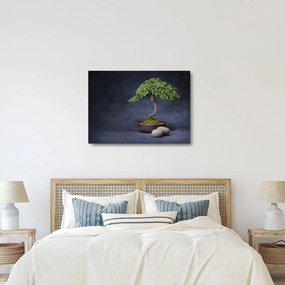 Tablou pe sticlă - Bonsai (70x50 cm)
