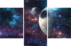 Tablou cu cosmos (90x60 cm)