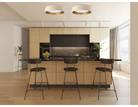 LED Plafonieră GALAXY 1xLED/24W/230V bej/auriu