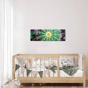 Tablou cu cactus (cu ceas) (90x30 cm)