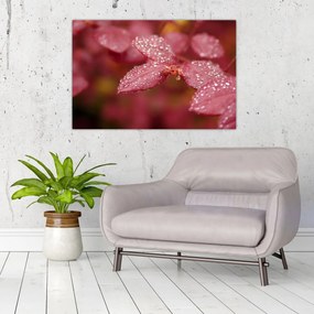 Tablou - Imagine macro a biletului (90x60 cm)