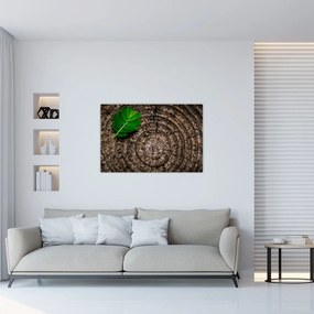 Tablou cu frunză pe trunchi de copac (90x60 cm)