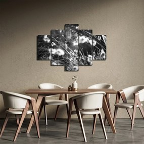 Tablou - Pânza de păianjen în pajiște (150x105 cm)