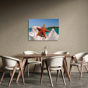 Tablou pe sticlă cu stea de mare (70x50 cm)