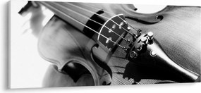 Tablou - Vioară (120x50 cm)
