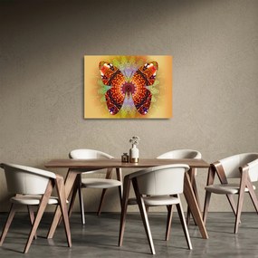 Tablou pe sticlă - Fluture etno (70x50 cm)