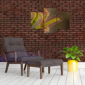 Tablou cu plantă (90x60 cm)