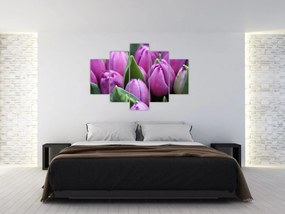 Tablou - florile lalelelor (150x105 cm)