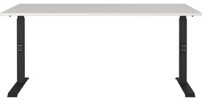 Birou reglabil 80x160 cm Agenda – Germania