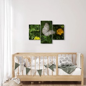 Tablou - fluture alb (90x60 cm)