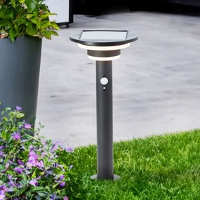 Lampă LED solară cu senzor Brilliant GARVINA LED/3W/3,7V 45 cm IP44 negru