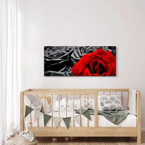 Tablou - Trandafir (120x50 cm)