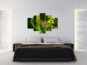 Tablou cu omide (150x105 cm)