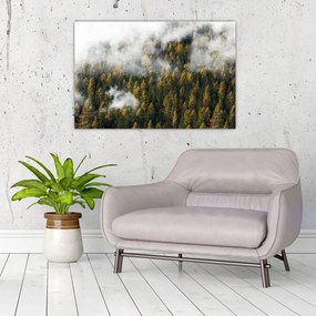 Tablou - Pădure în nori (90x60 cm)