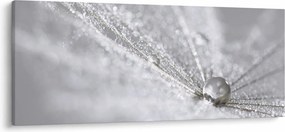 Tablou - Picătură de apă (120x50 cm)
