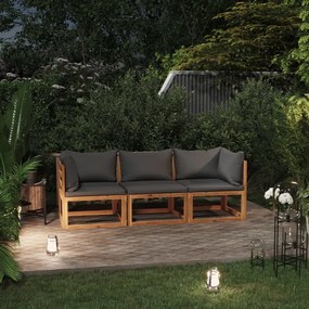 3057607 vidaXL Canapea de grădină 3 locuri cu perne, lemn masiv acacia
