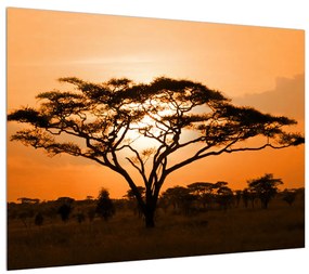 Tablou cu savana africană (70x50 cm), în 40 de alte dimensiuni noi