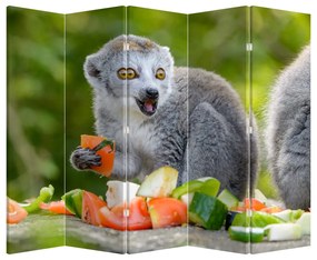 Paravan - Lemur (210x170 cm)