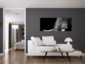 Tablou - Colți de elefant (120x50 cm)