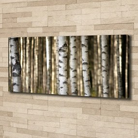 Print pe canvas Mesteceni