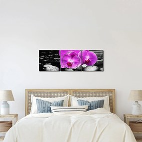 Tablou - Orhidee violet (cu ceas) (90x30 cm)