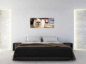 Tablou cu pisica albăr (120x50 cm)