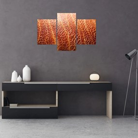 Tablou - Detaliu de textură (90x60 cm)