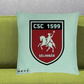 Perna Personalizata CSC 1599 Selimbar Fotbal, 40x40 cm, Verde Menta, Husa Detasabila, Perna Inclusa, BEKZ®
