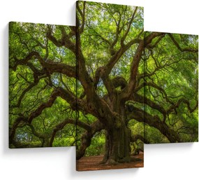 Tablou - Copac verde (90x60 cm)