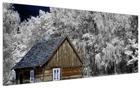 Tablou pe pânză K010121K12050 (120x50 cm), în 40 de alte dimensiuni noi