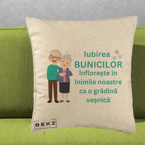 Cadou pentru Bunici - Perna Personalizata Bunicii Iubirea Infloreste Cuplu Senior Teal, 40x40 cm, Bej, Husa Detasabila, Perna Inclusa, BEKZ®