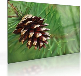 Tablou pe sticlă cu con (70x50 cm)