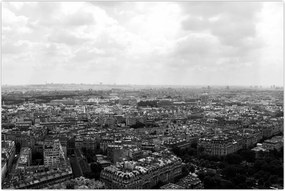 Tablou - Acoperișuri clădirilor din Paris (90x60 cm)
