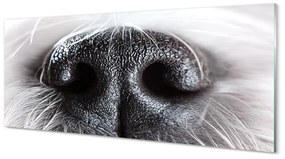Tablouri pe sticlă nasul câinelui