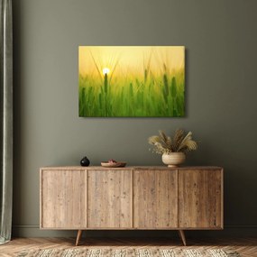 Tablou - Câmp cu cereale (90x60 cm)