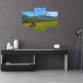 Tablou - Cerb în luncă (90x60 cm)