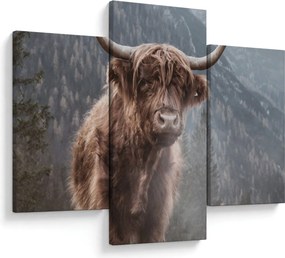 Tablou - Vaca Highlander (90x60 cm)