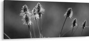 Tablou - Iarbă moale bej N⁰2 (120x50 cm)