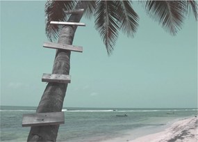 Tablou - Palma în Caraibe (70x50 cm)