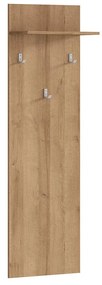 Zondo Cuier Balder WIE/45. 1005635