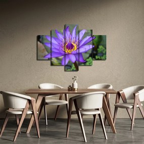 Tablou - Floare violet (150x105 cm)