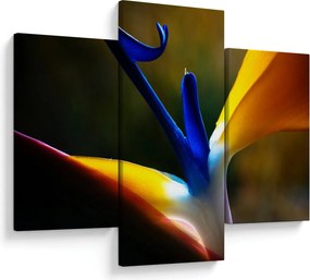 Tablou - Floare exotică (90x60 cm)