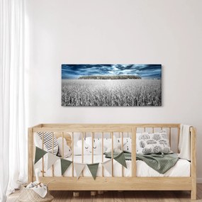 Tablou cu câmp (120x50 cm)
