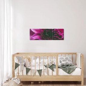 Tablou cu floarea roz (cu ceas) (90x30 cm)