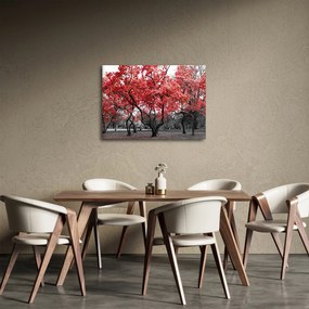 Tablou - Copacii roșii, Central Park, New York (70x50 cm)
